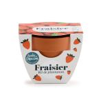 Radis et Capucine - Mini kit Fraisier - Pot Terre Cuite - 6 cm - PACKAGING_RECTO